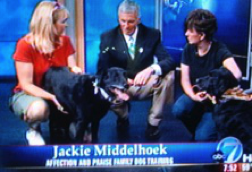 Denver Channel Jackie Middelhoek dog training