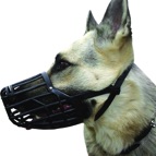 Dog Training Denver muzzle